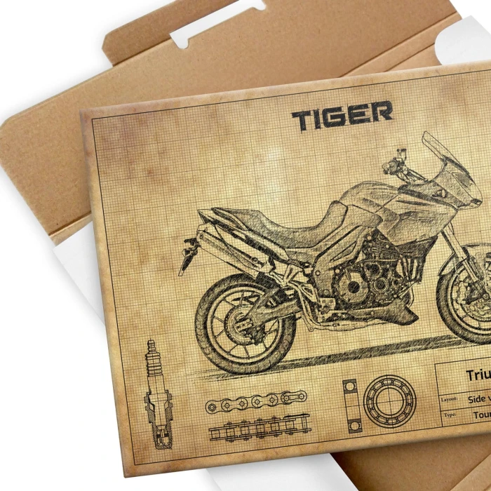Plakat metalowy Triumph Tiger 1050 Prezent