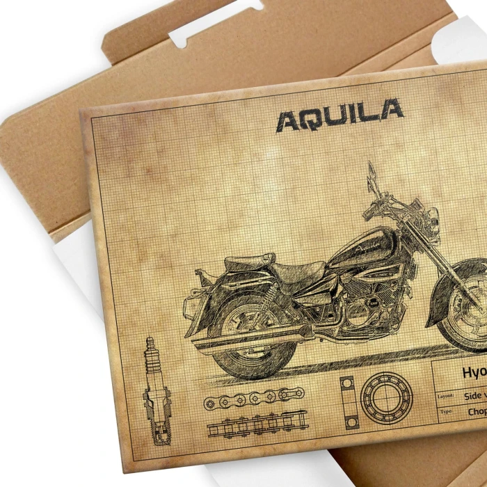 Plakat metalowy Hyosung Aquila 125 Prezent