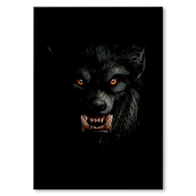 Plakat metalowy Wilkołak wilk