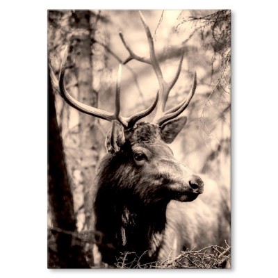 Plakat metalowy Jeleń