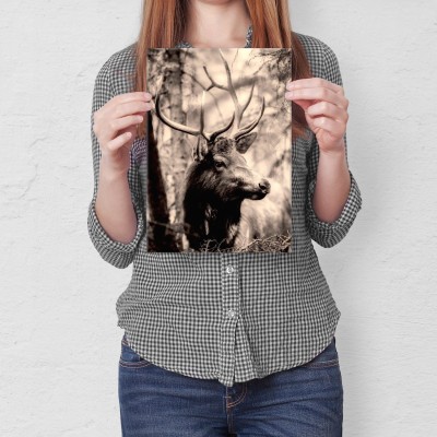 Plakat metalowy Jeleń