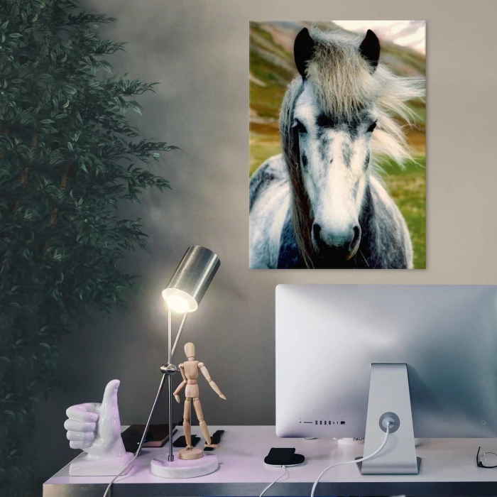 Plakat metalowy Dziki koń