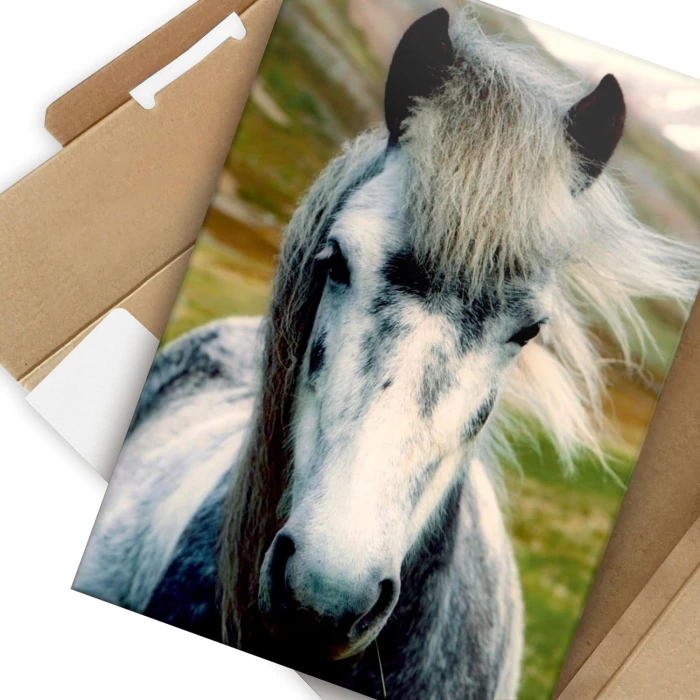 Plakat metalowy Dziki koń