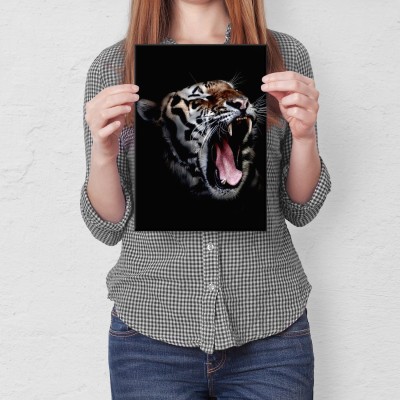 Plakat metalowy Tygrys