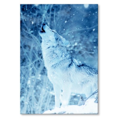 Plakat metalowy Winter wolf