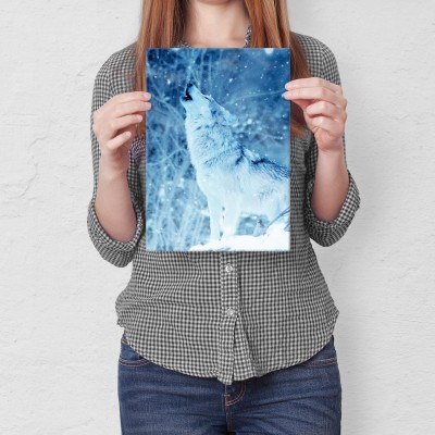 Plakat metalowy Winter wolf