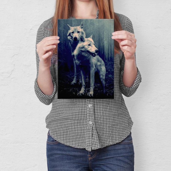 Plakat metalowy Wilki w lesie