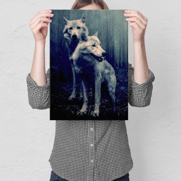 Plakat metalowy Wilki w lesie