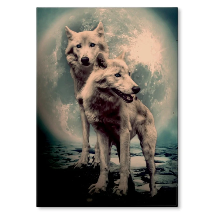 Plakat metalowy Wilki