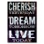 Plakat metalowy Cherish Dream Live