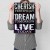 Plakat metalowy Cherish Dream Live