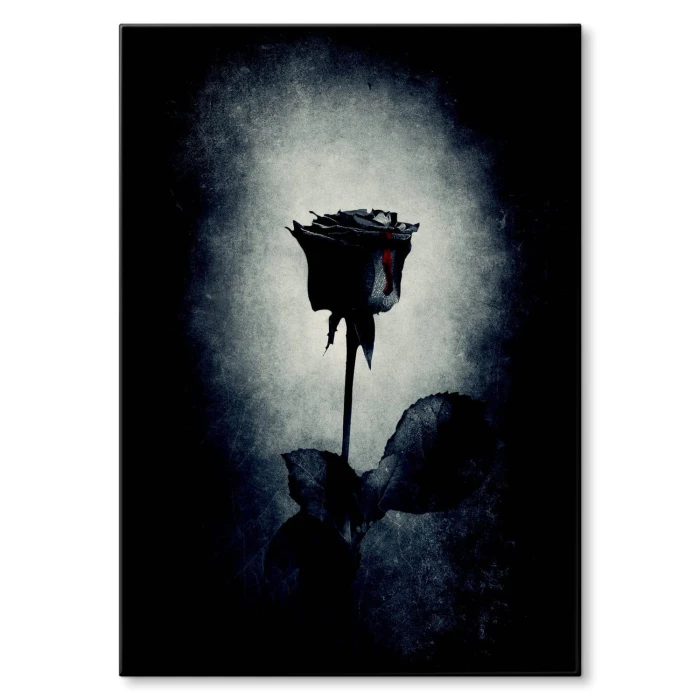 Plakat metalowy Czarna róża