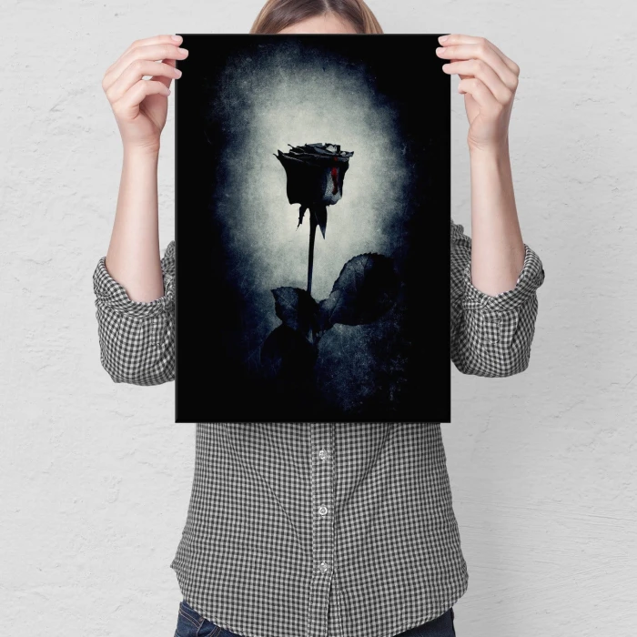 Plakat metalowy Czarna róża