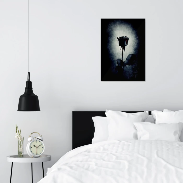 Plakat metalowy Czarna róża