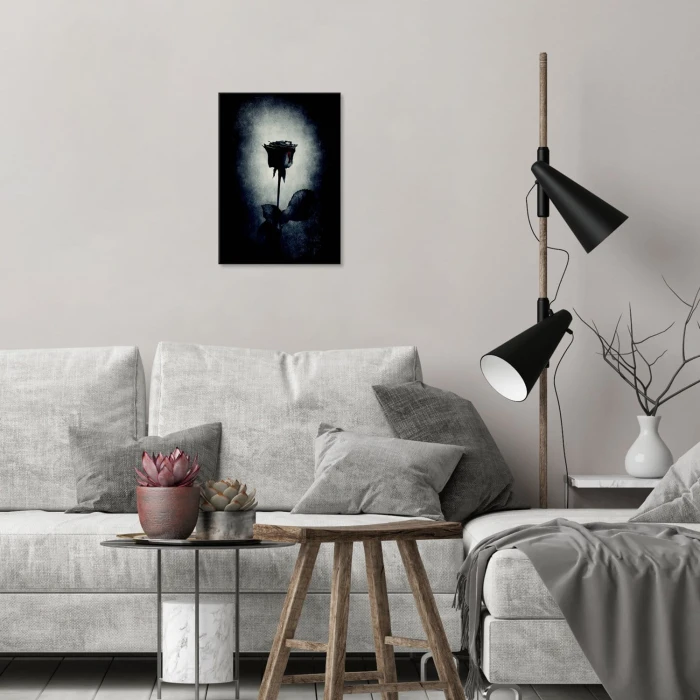 Plakat metalowy Czarna róża