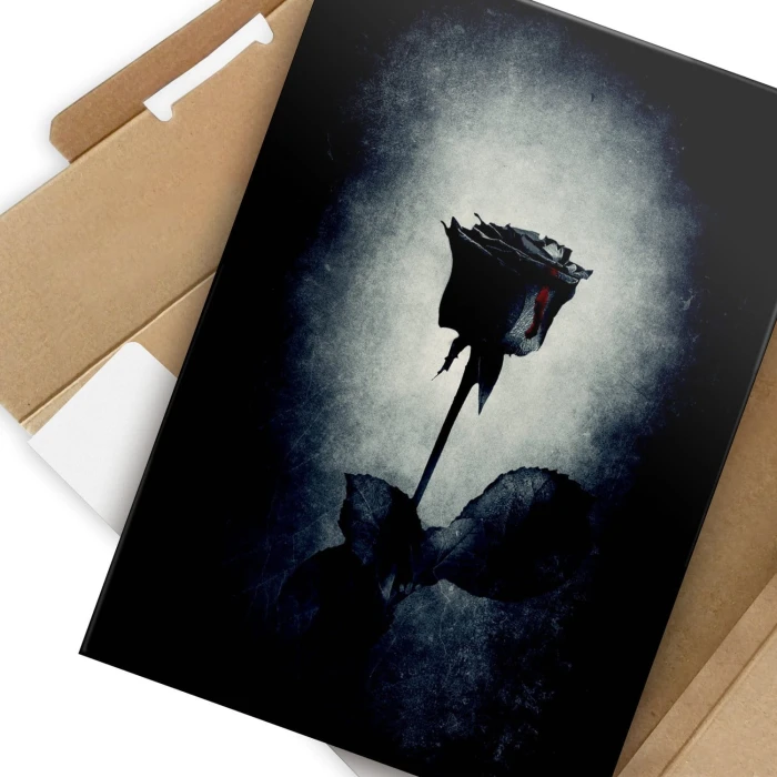 Plakat metalowy Czarna róża