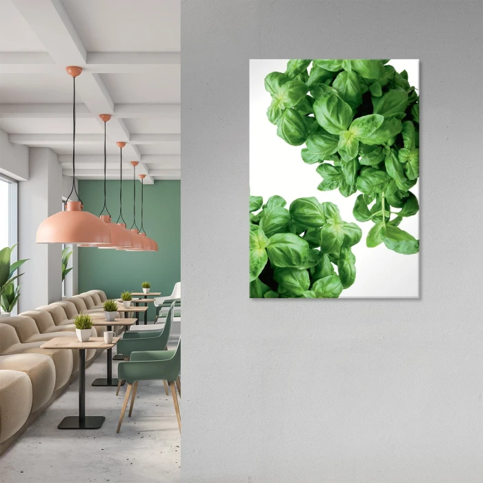 Plakat metalowy Zioła Bazylia