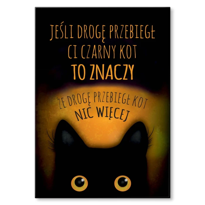 Plakat metalowy Czarny kot