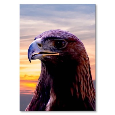 Plakat metalowy Orzeł