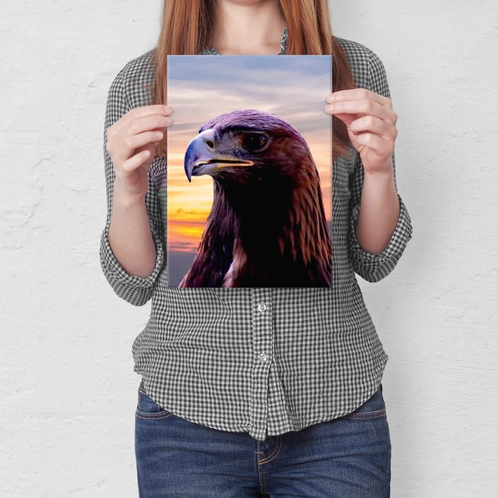 Plakat metalowy Orzeł