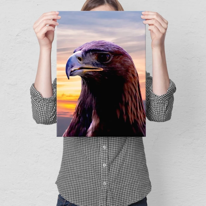 Plakat metalowy Orzeł