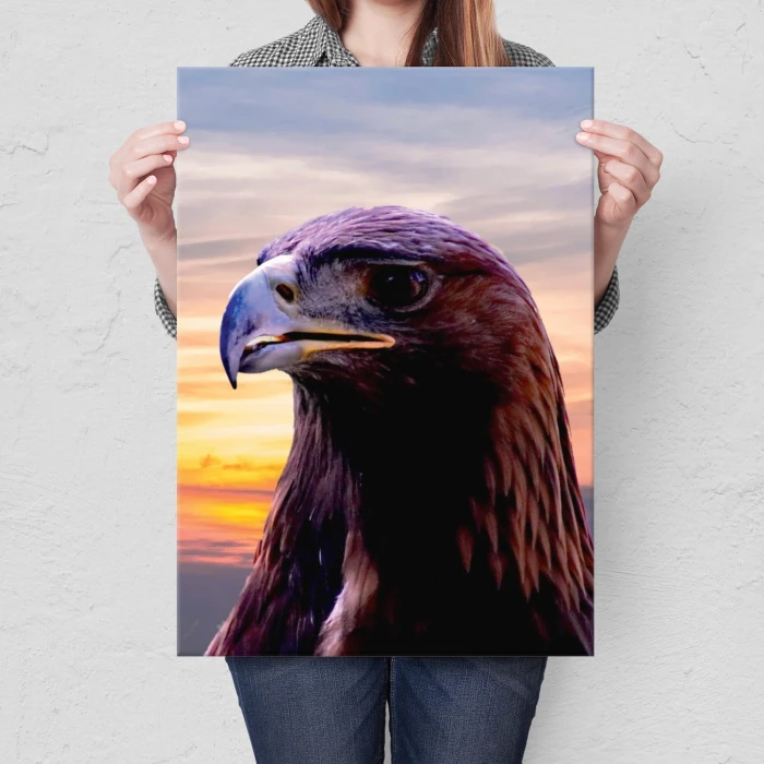 Plakat metalowy Orzeł