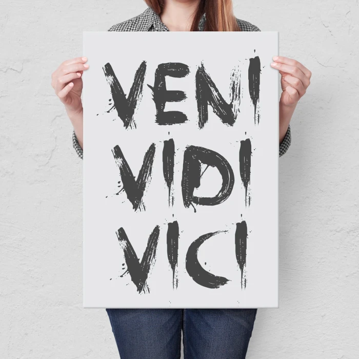 Plakat metalowy Veni vidi vici Prezent