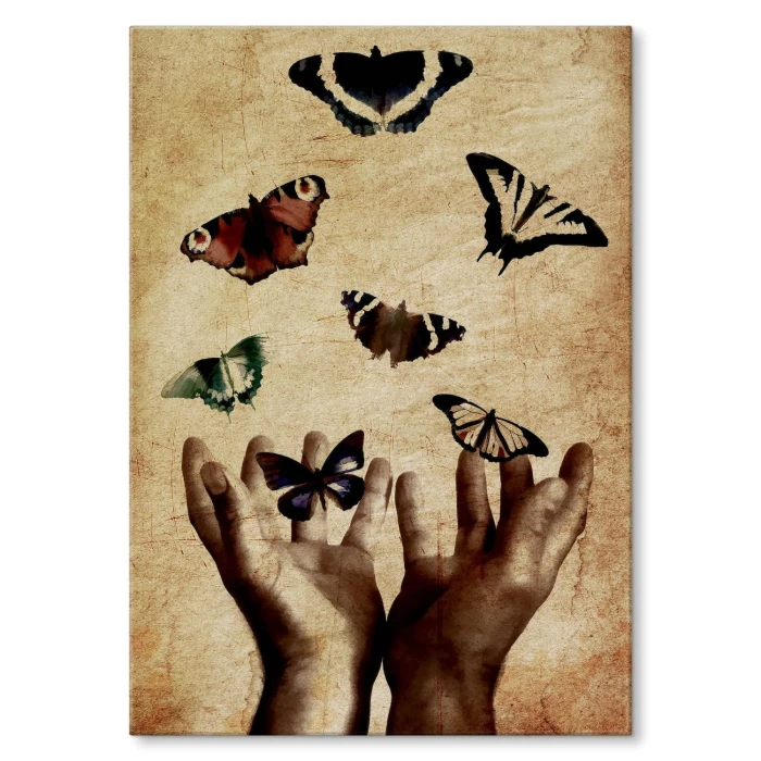 Plakat metalowy Motyle Prezent