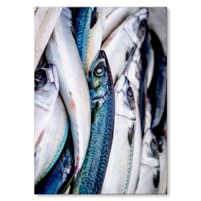 Plakat metalowy Ryby Prezent