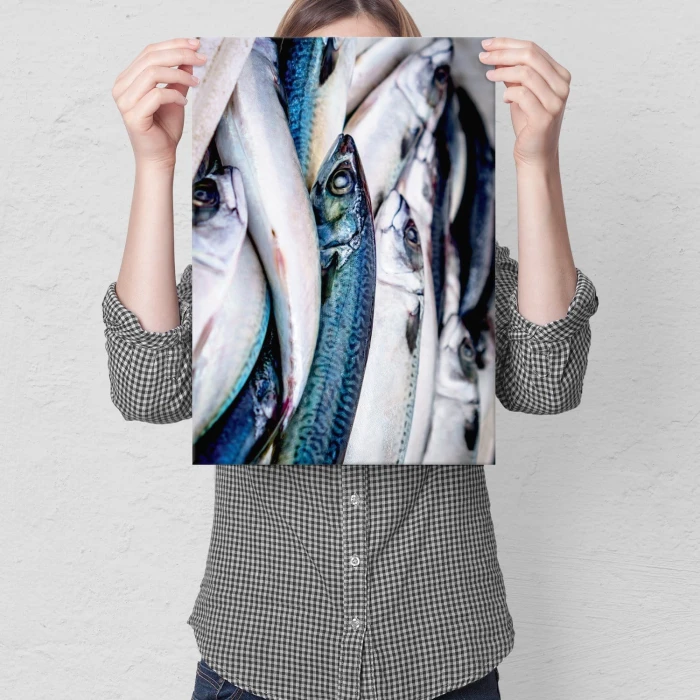 Plakat metalowy Ryby Prezent