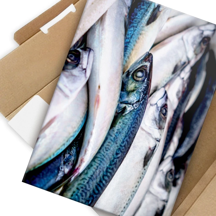 Plakat metalowy Ryby Prezent
