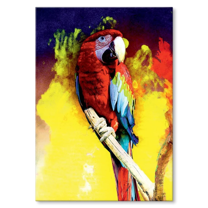 Plakat metalowy Kolorowa Papuga Prezent