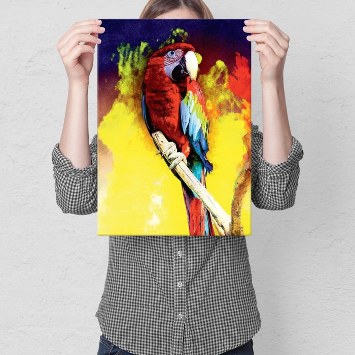 Plakat metalowy Kolorowa Papuga Prezent