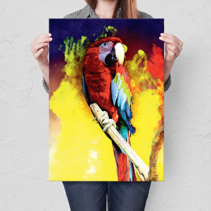 Plakat metalowy Kolorowa Papuga Prezent