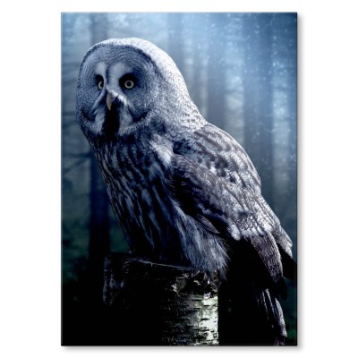 Plakat metalowy Nocna sowa Prezent