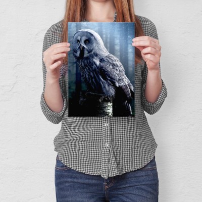 Plakat metalowy Nocna sowa Prezent