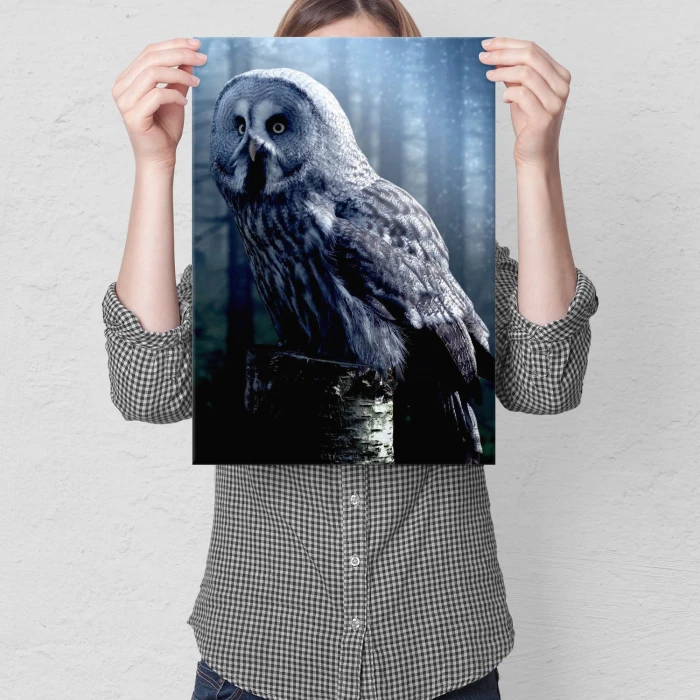 Plakat metalowy Nocna sowa Prezent