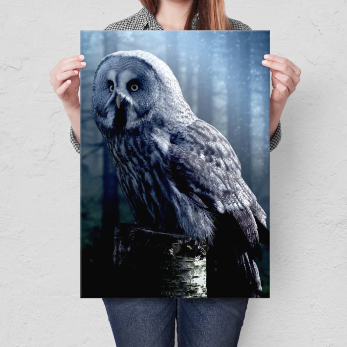 Plakat metalowy Nocna sowa Prezent