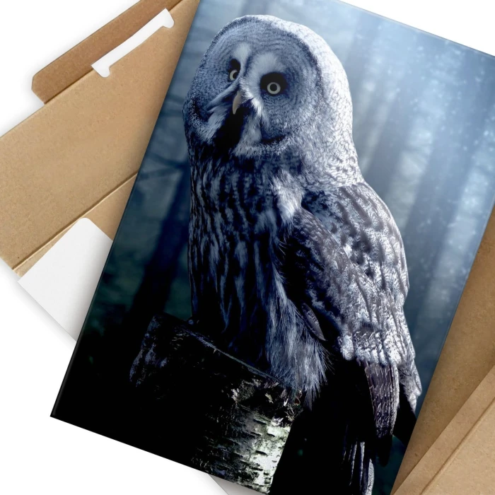 Plakat metalowy Nocna sowa Prezent