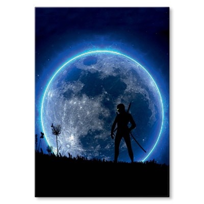 Plakat metalowy Ninja Prezent