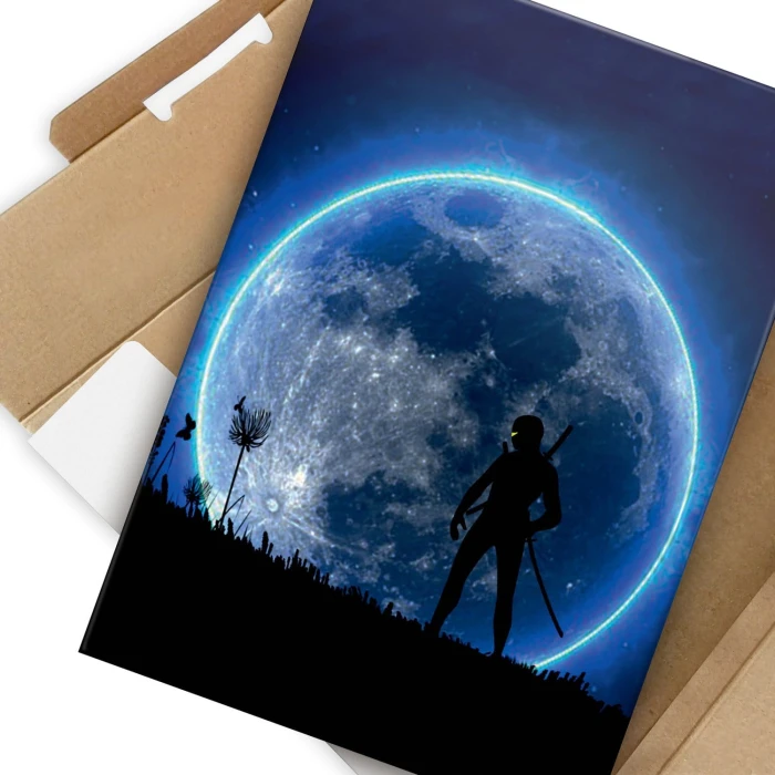 Plakat metalowy Ninja Prezent