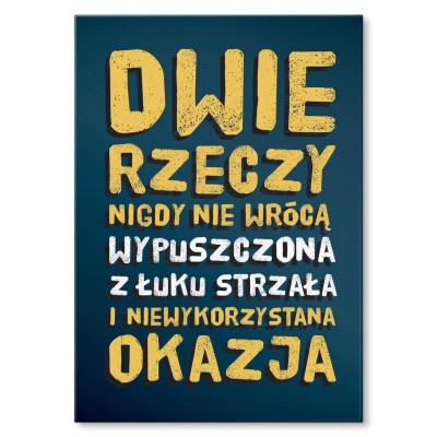 Plakat metalowy Niewykorzystana okazja Prezent
