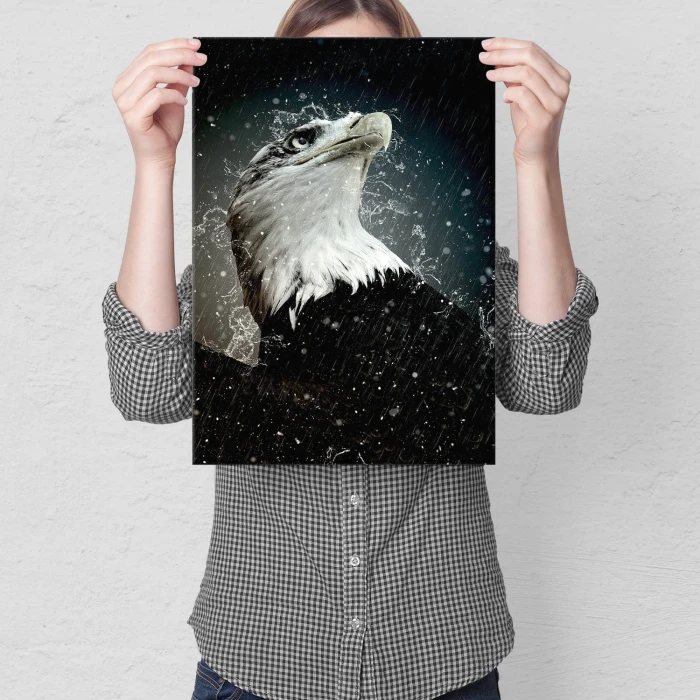 Plakat metalowy Orzeł w deszczu Prezent