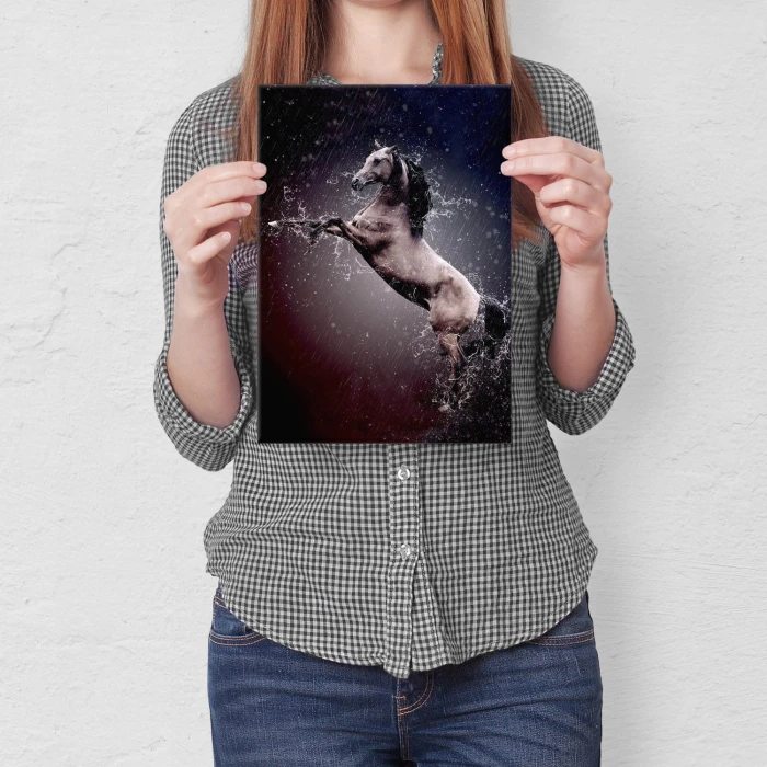 Plakat metalowy Koń w deszczu Prezent