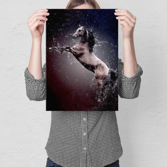 Plakat metalowy Koń w deszczu Prezent