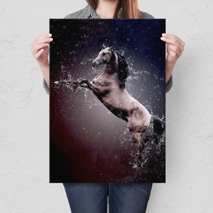 Plakat metalowy Koń w deszczu Prezent