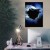 Plakat metalowy Kruk Prezent