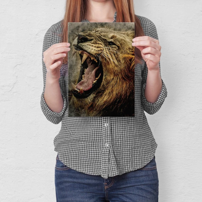 Plakat metalowy Ryk lwa Prezent