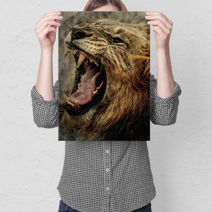 Plakat metalowy Ryk lwa Prezent