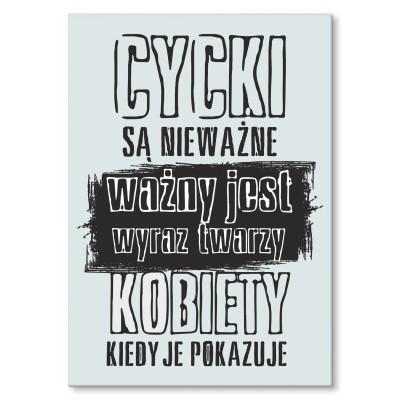Plakat metalowy Cycki są nieważne Prezent